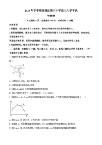 湖南省长沙市望城区第六中学2024-2025学年高三上学期开学考试生物试题（原卷版）