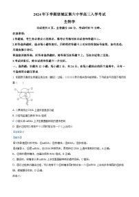 湖南省长沙市望城区第六中学2024-2025学年高三上学期开学考试生物试题（解析版）