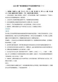 2025届广东省高三上学期第一次调研考试生物试题（解析版）