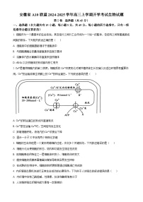 安徽省A10联盟2024-2025学年高三上学期开学考试生物试题（原卷版+解析版）