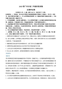 广东省广州市2024-2025学年高三上学期阶段性训练暨8月摸底考试(市调研考）生物试题（解析版）