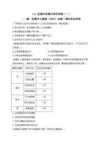 高中生物人教版 (2019)必修2《遗传与进化》第1节 盂德尔的豌豆杂交实验（一）复习练习题