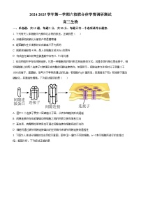 江苏省南京市2024-2025学年高三上学期六校联合体学情调研测试生物试题（原卷版+解析版）