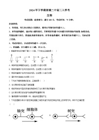 湖南省长沙市望城区长沙市望城区第二中学2024-2025学年高三上学期开学生物试题（原卷版+解析版）