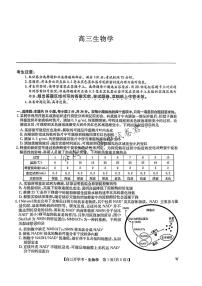 九师联盟2024-2025学年高三上学期8月联考生物试卷