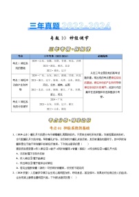 三年（2022-2024）高考生物真题分类汇编（全国通用）专题10 神经调节（原卷版）