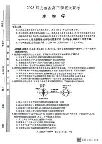 安徽省亳州市2024-2025学年高三上学期开学摸底大联考生物试题