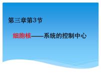 高中生物人教版 (新课标)必修1《分子与细胞》第三章 细胞的基本结构第3节 细胞核──系统的控制中心一等奖课件ppt