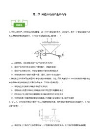 浙科版 (2019)选择性必修1 稳态与调节第二节  神经冲动的产生和传导精品同步训练题