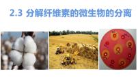 高中人教版 (新课标)课题3 分解纤维素的微生物的分离公开课课件ppt