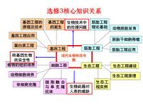 高中生物人教版 (新课标)选修3《现代生物科技专题》1.1 DNA重组技术的基本工具公开课课件ppt