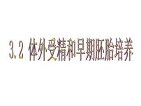 高中生物人教版 (新课标)选修3《现代生物科技专题》3.2 体外受精和早期胚胎培育优秀课件ppt