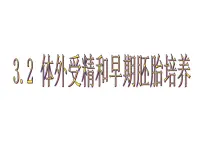 高中生物人教版 (新课标)选修3《现代生物科技专题》3.2 体外受精和早期胚胎培育优秀课件ppt