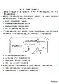 安徽省A10联盟2024-2025学年高三上学期开学考试生物试题