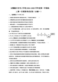 安徽省滁州市定远县育才学校2024-2025学年高三上学期生物模拟试卷