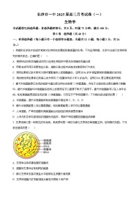 湖南省长沙市第一中学2024-2025学年高三上学期月考卷（一）生物试题（Word版附答案）