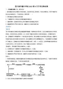 四川省广安市华蓥中学2024-2025学年高三上学期8月月考生物试题（Word版附解析）