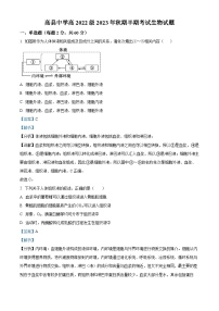 四川省宜宾市高县中学2023-2024学年高二上半期考试生物试题（Word版附解析）