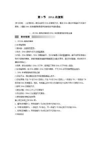 高中生物人教版 (2019)必修2《遗传与进化》第3节 DNA的复制学案设计