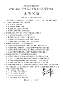 福建省福州市2024-2025学年高三上学期8月第一次质量检测生物试题（Word版附答案）