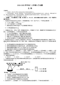 河南省安阳市林州市第一中学2024-2025学年高二上学期8月月考生物试题（Word版附解析）