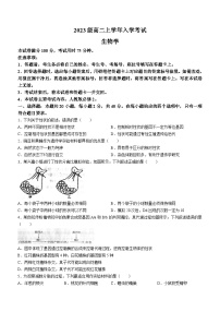 黑龙江省龙东十校2024-2025学年高二上学期开学联考生物试题（Word版附答案）