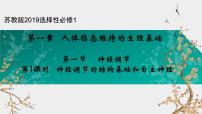 生物选择性必修1 稳态与调节第一章 人体稳态维持的生理基础第一节 神经调节优秀课件ppt