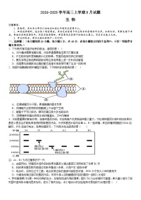 河南省安阳市林州市第一中学2024-2025高三上学期8月月考生物试题（Word版附解析）