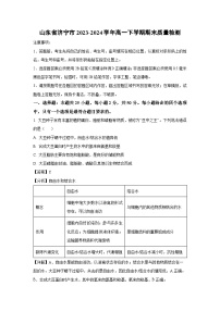 [生物][期末]山东省济宁市2023-2024学年高一下学期期末质量检测(解析版)