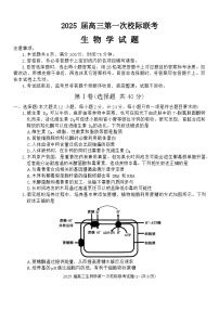 陕西省部分学校2024-2025学年高三上学期开学校际联考生物试卷（Word版附答案）