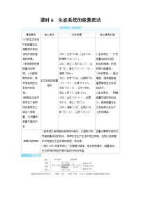 2025年高考生物精品教案第十章生物与环境课时6生态系统的能量流动