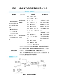 2025年高考生物精品教案第八章动物和人体生命活动的调节课时2神经调节的结构基础和基本方式