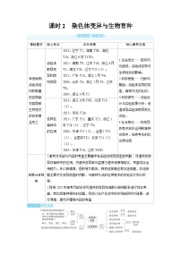 2025年高考生物精品教案第七章生物的变异和进化课时2染色体变异与生物育种