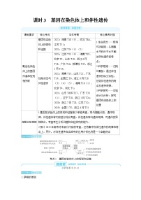 2025年高考生物精品教案第五章基因的传递规律课时3基因在染色体上和伴性遗传