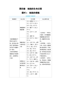 2025年高考生物精品教案第四章细胞的生命历程课时1细胞的增殖