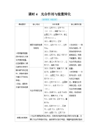 2025年高考生物精品教案第三章细胞代谢课时4光合作用与能量转化