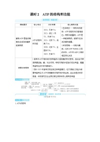 2025年高考生物精品教案第三章细胞代谢课时2ATP的结构和功能