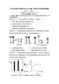 河南省驻马店市树人高级中学2024-2025学年高二上学期开学考试生物试题