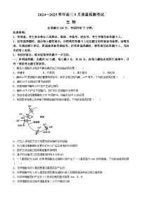 河南省濮阳市2024-2025学年高三上学期9月质量检测考试生物试卷（Word版附解析）