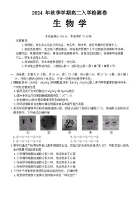 广西名校联盟2024-2025学年高二上学期入学考试生物试题