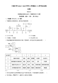 江西省宜春市丰城市江西省丰城中学2024-2025学年高二上学期开学生物试题（原卷版+解析版）