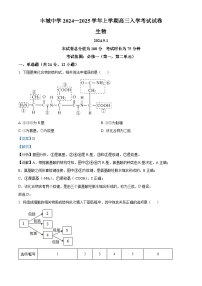 江西省宜春市丰城市江西省丰城中学2024-2025学年高二上学期开学生物试题（解析版）