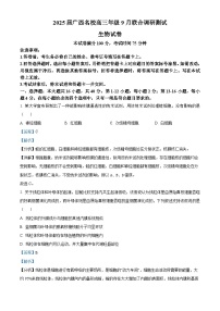 广西壮族自治区玉林市2024-2025学年高三上学期9月月考生物试题（解析版）