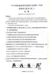 河南省青桐鸣大联考2024-2025学年高二上学期开学考试生物试题（PDF版附解析）