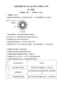 云南省大理白族自治州大理市大理白族自治州民族中学2024-2025学年高二上学期开学生物试题（原卷版+解析版）