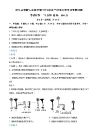 河南省驻马店市树人高级中学2024-2025学年高二上学期开学考试生物试题（解析版）