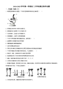 宁夏西吉中学2024-2025年高二上学期开学考试生物试题（原卷版+解析版）