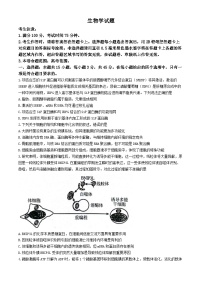 安徽省县中联盟2024-2025学年高三上学期9月开学联考生物试题（无答案）