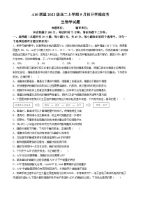 安徽省A10联盟2024-2025学年高二上学期9月初开学摸底考生物试题(无答案)