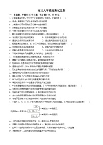 四川省成都列五中学2024-2025学年高三上学期入学摸底测试生物试卷（Word版附答案）